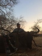 Wildebeest 2.JPG