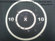 20rnd H1000.jpg