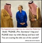 face veil.jpg