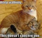 Keep Walking.jpg