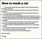 wash the cat.jpg