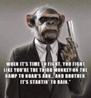 third_monkey.jpeg