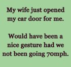 car door.jpg