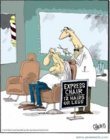 expresschair.jpg