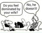 dominated.jpg