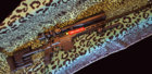 Athlon2.jpg