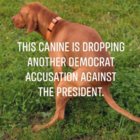 democrat accusation.jpg