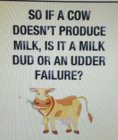 thumbnail (77).jpg