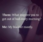 my bladder.jpg