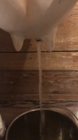 9A1B3049-630C-4BB1-B0C0-E59EDE1BFE31.png