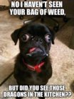 bag of weed.jpg