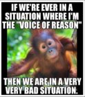 voice of reason.jpg