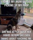 wash hands.jpg