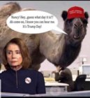 nancy.jpg