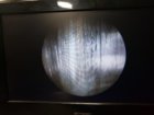 14k rounds land in from throat.jpg