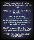 not my dog.jpg