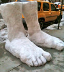 2-Feet-of-snow.jpg