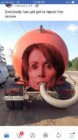 septic nancy.jpg