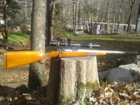 Ruger 220 Swift 2.jpg