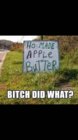 bitch did what.jpg