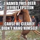 didn't hang himself.jpg