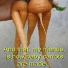 thumbnail (48).jpg