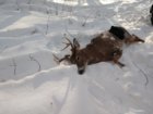 IMG_20191115_092648261.jpg