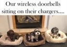 Dogs - Wireless Doorbells.jpg