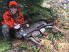 JACK SPRAT DEER.jpg