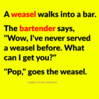 pop.png