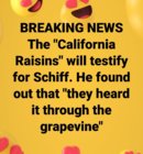 hEARD IT THROUGH THE GRAPE VINE.jpg
