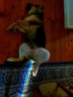 20191123_224625.jpg
