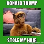 Donald-trump-4.jpg