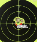 155gr-Lapua-44.3-Varget.jpg