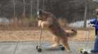tumblr_1b5ce3ca5280fbe2471a2f2071ff7fe4_bd45b862_640.gif