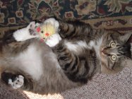 DSCF1751.JPG