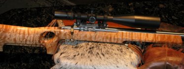 -300WSM sm17.jpg