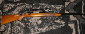 6mm3.jpg
