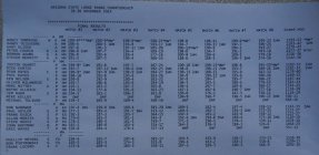 2014_AZ_LR_sling_final.jpg