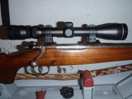 more mauser pics 004.JPG