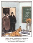 Curiosity Killed The Cat.jpg