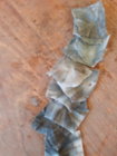 20191127_113931.jpg