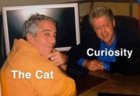 curiosity.jpg