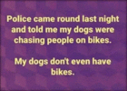 dogs don.t have bikes.gif