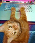 Junior-Computer.jpg