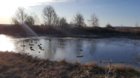 Decoys 11_30.jpg