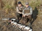 Ducks 11_30.jpg