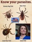 know your parsites.jpg