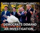 pardon turkey.jpg