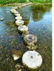 20191202_064047.png